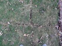 Image result