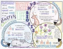Pin On Sketchnotes