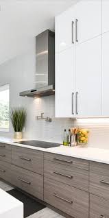Kitchen Cabinet Fronts Sektion Ikea The Cabinet Face Gloss Kitchen Cabinets Contemporary Kitchen High Gloss Kitchen Cabinets