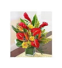Check spelling or type a new query. Flowers By Irene 01501 760039 Trusted Florist In West Calder