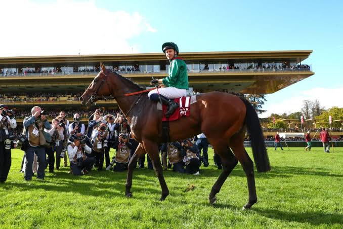 Daryz remporte le Qatar Prix de l'Arc de Triomphe - Cheval Magazine