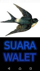 Suara Panggil Burung Walet Para Android Apk Baixar