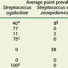 People with postnasal drip usually feel they have to clear their throat more than normal. Pdf Lancefield Group B And C Streptococci In East African Camels Camelus Dromedarius