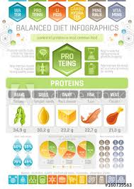 proteins diet infographic diagram poster water protein