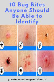 pin on health and fitness