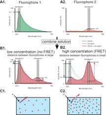 نتیجه جستجوی لغت [fret] در گوگل