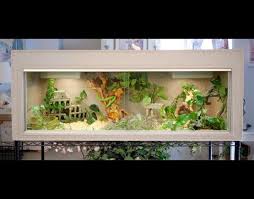 Pin By Patina Clark On Dream House Bearded Dragon Cage Snake Cages Bearded Dragon