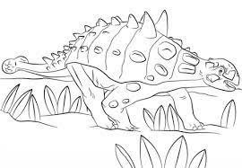 Weitere ideen zu malvorlage dinosaurier, dinosaurier, malvorlagen. Malvorlage Dinosaurier Euoplocephalus Dreihorn Coloring And Malvorlagan