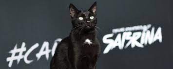 chilling adventures of sabrina nin promiyerine salem damga vurdu haberler beyazperde com