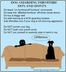 There's a lot that goes into socializing a puppy to prevent behavioral issues with other dogs down the road. Solve Aggression In Dogs Guarding Furniture Or Territory