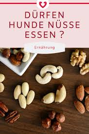 Durfen Hunde Nusse Essen Gesunde Snacks Hund Essen Ernahrung