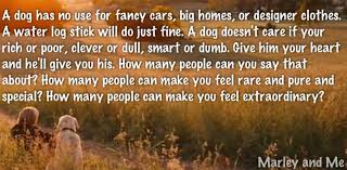 The quest is one of the tougher ones in the beginning of the game, and enemies that are higher level than you take less damage from you and deal more to you. 32 Marley And Me Ideas Marley And Me Marley Dog Movies