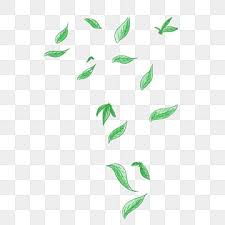 Gambar Daun Mengambang Mengambang Daun Daun Berguguran Hijau Png Transparan Clipart Dan File Psd Untuk Unduh Gratis Mengambang Daun Daun Hijau