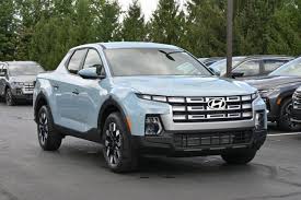 Image result for Blue Stone 2024 Santa Cruz