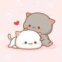 See more ideas about anime, matching icons, anime icons. Cat Collection Discord Avatars
