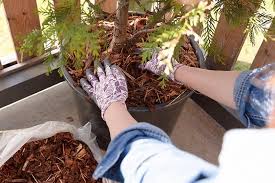 You can use them in your gardens, landscape designs, soil amendments, help keep the weeds down and much more. 10 Types Of Organic Inorganic Mulch You Can Use In The Garden Trees Com