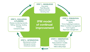 Insects are important pests of cereal grains and stored food. What Is Integrated Pest Management Farm Biosecurity