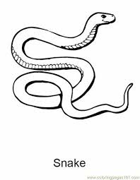 The images above represents how your finished drawing is going to look and the steps involved. Snake 27 Coloring Page For Kids Free Snake Printable Coloring Pages Online For Kids Coloringpages101 Com Coloring Pages For Kids