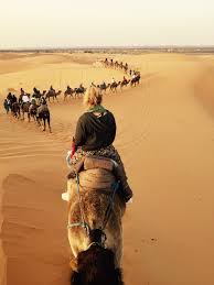 How do you ride on a camel? Bucket List 31 Riding A Camel In Morocco Desert Excursion Val The Backpacker