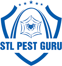 Louis is a local family owned business serving st. Outdoor Mosquito Control Stl Pest Guru Fenton
