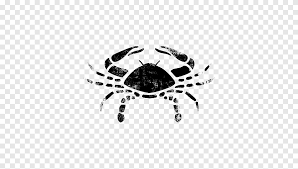 The reality is that they're simply highly. Cancer Crab Zodiac Astrological Sign Horoscope Cancer Astrology Animals Seafood Png Pngegg