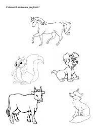 Fisa de lucru animale si pui lor. Fise De Lucru Cu Animale Domestice Si Salbatice