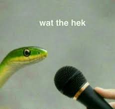 Pin By Farah Ayu On Reaction Memes Reactions Meme Funny Relatable Memes Stupid Memes