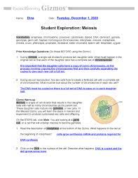 Some of the worksheets for this concept are student exploration stoichiometry gizmo answer key pdf, meiosis and mitosis answers work, honors biology ninth. Meiosis Se 2 Studocu