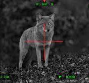 Managing Predators with Thermal Optics | Mossy Oak