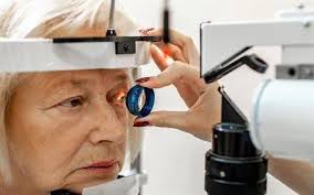 Boletin Nro. 04 Rotalatinos Outubro de 2022 by rotalatino