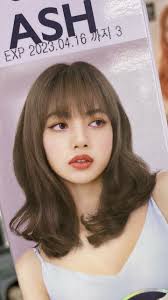 Pm10 good dss very bad pm2.5 bad o₃ moderate. Pin By L I S S A On Lisa Blackpink Lisa Lisa Hair Styles