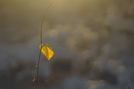 We did not find results for: A Fi Sau A Nu Fi Egoist