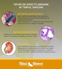 Infectiile urinare simptome si tratamente eficiente secom ro. Infectiile Urinare In Sarcina