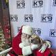 Christmas With the K9s event image