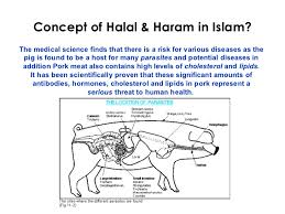 Eating pork is forbidden in many other religions, too. Concept Of Halal Amp Haram In Islam