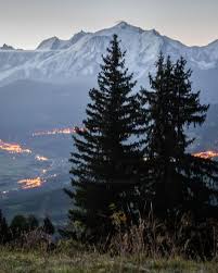 Silhouetted Pine Trees In Front Of The Mont Blanc The Highest Mountain Of The French Alps How To Start Yoga Nature Instagram