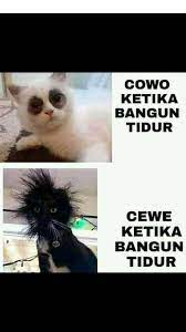 Kumpulan kata kata lucu ini berasal dari plesetan kata kata mutiara bijak kehidupan dan cinta sehingga kata kata motivasi ini bukannya menjadi wejengan bijak melainkan menciptakan arti baru yang konyol.… Kata Kata Lucu Home Facebook