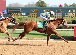 Mila caicedo erome so she stated she preferred to have a