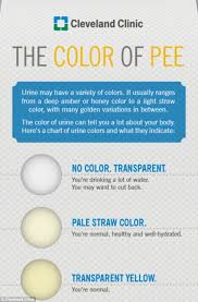 What Does Your Pee Say About You Diagram Shows Whats