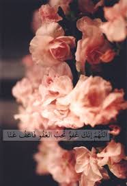 Forgiveness deepens your ability to love and frees you from pain. N Daily Flowers Beautiful Flowers Pretty Flowers