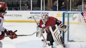 United states canada russia sweden. Rapid City Rush Minor League Hockey On Oursports Central