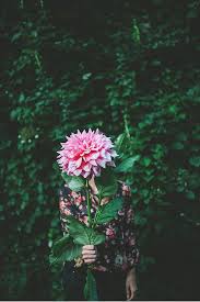Pin On Bloom