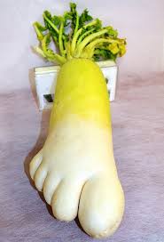An unusually shaped vegetable is a vegetable or fruit that has grown into a shape not in line with its normal body plan. 98 Unusually Shaped Fruits And Vegetables That Look Like Something Else Bored Panda