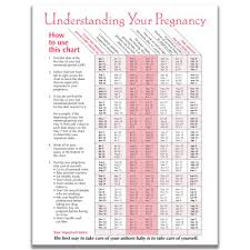 timeline of pregnancy tear pad english