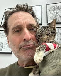 Hello, my name is Lyra. I'm an 10 week old female harlequin DSH. I'm very  sweet and cuddly, but very playful too! I was rescued by Feline Underground  Network from a high