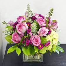Maybe you would like to learn more about one of these? Bashful In San Diego Ca Wholesale Flowers Wholesale Flowers Flower Delivery Flowers