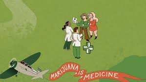 Canopy Growth reports big jump in medical cannabis revenue