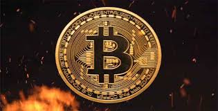 Bitcoin to us dollar btc is worth usd as of febru (friday). Cryptocurrency Prices Live Btc Btg Bch Bsv Wbtc Price Charts And Market Capitalizations Wbtcprice Io