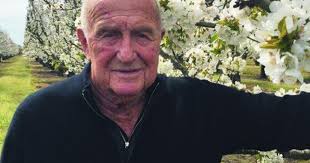 Remembering Don Reynolds