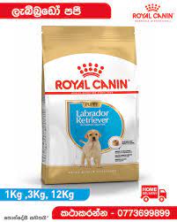 Maybe you would like to learn more about one of these? à¶½ à¶¶ à¶¶ à¶»à¶© à¶´à¶´ Labrador Royal Canin Sri Lanka Facebook